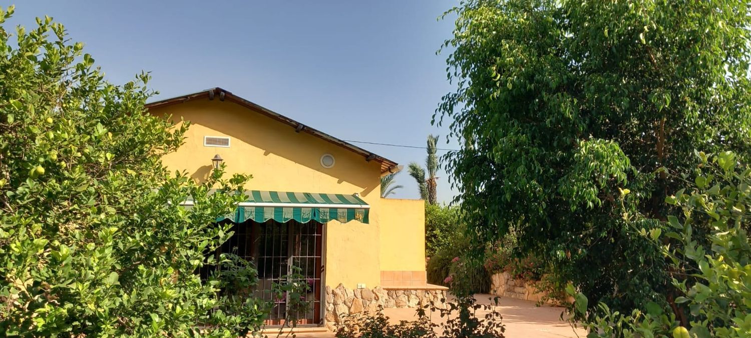 Finca rústica en calle Don Adrián, 1506 - Foto 12