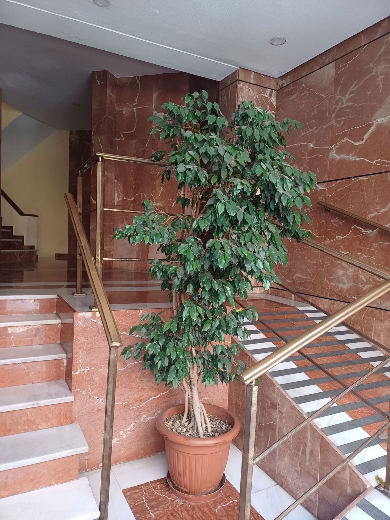 Piso en calle Monte Carmelo, 25 - Foto 1