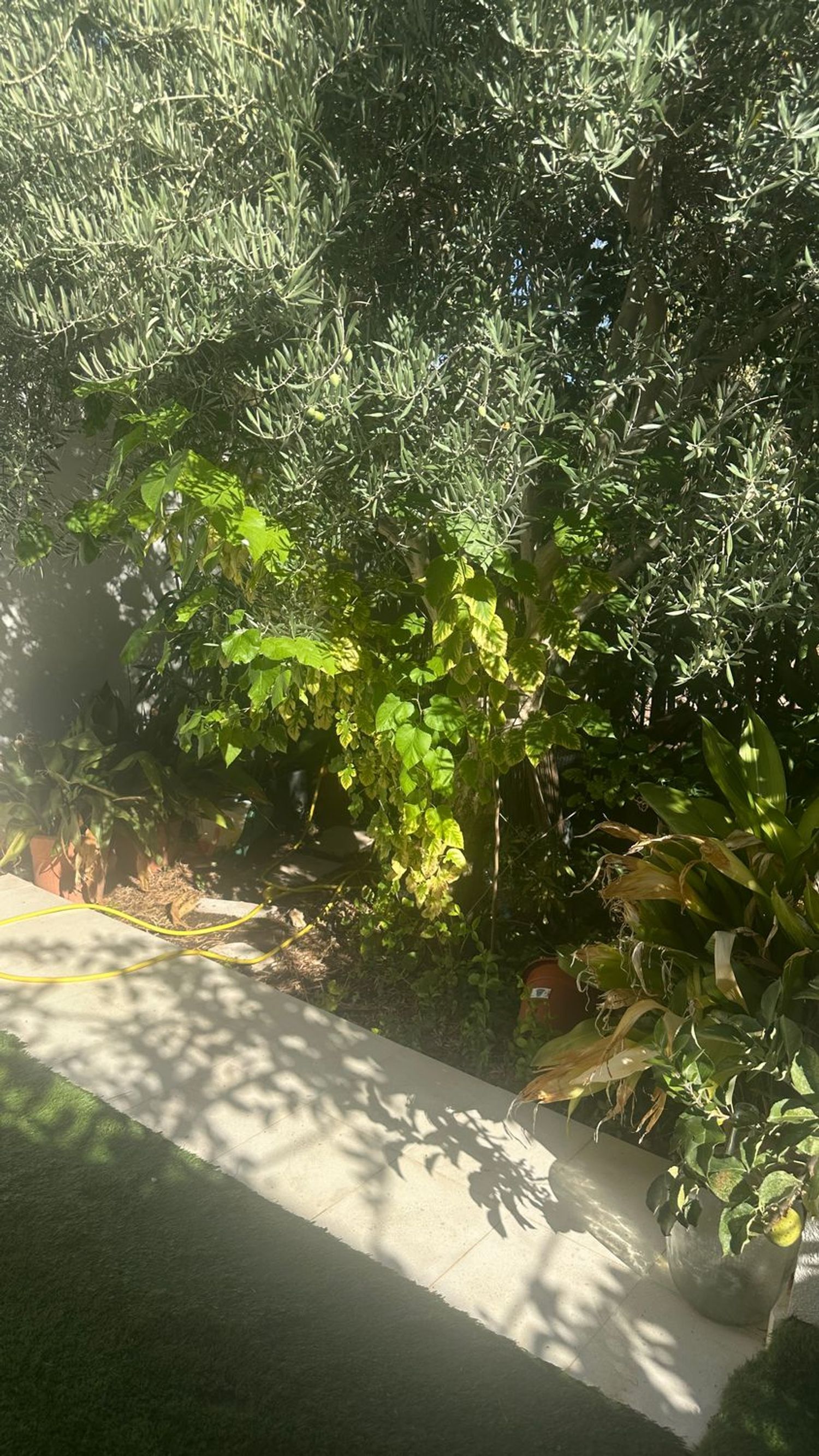 Casa o chalet independiente en Avenida de Majadahonda, 27, Zona Pueblo - Foto 14