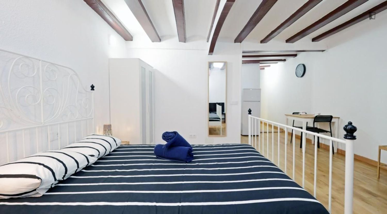 Estudio en Calle de Torres i Amat, El Raval - Foto 7