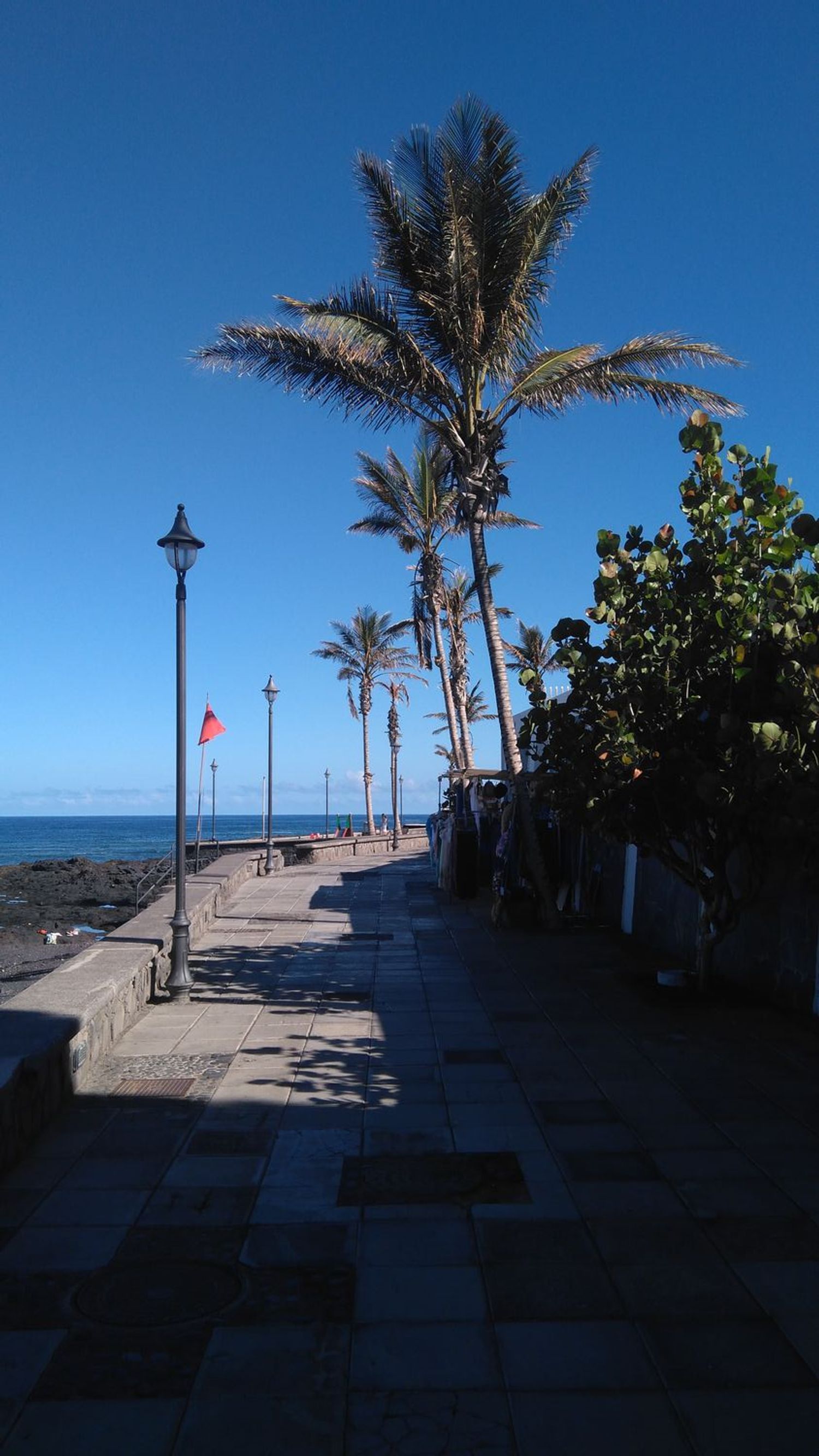 Piso en Bajamar-Punta del Hidalgo, Bajamar-Punta del Hidalgo - Foto 17
