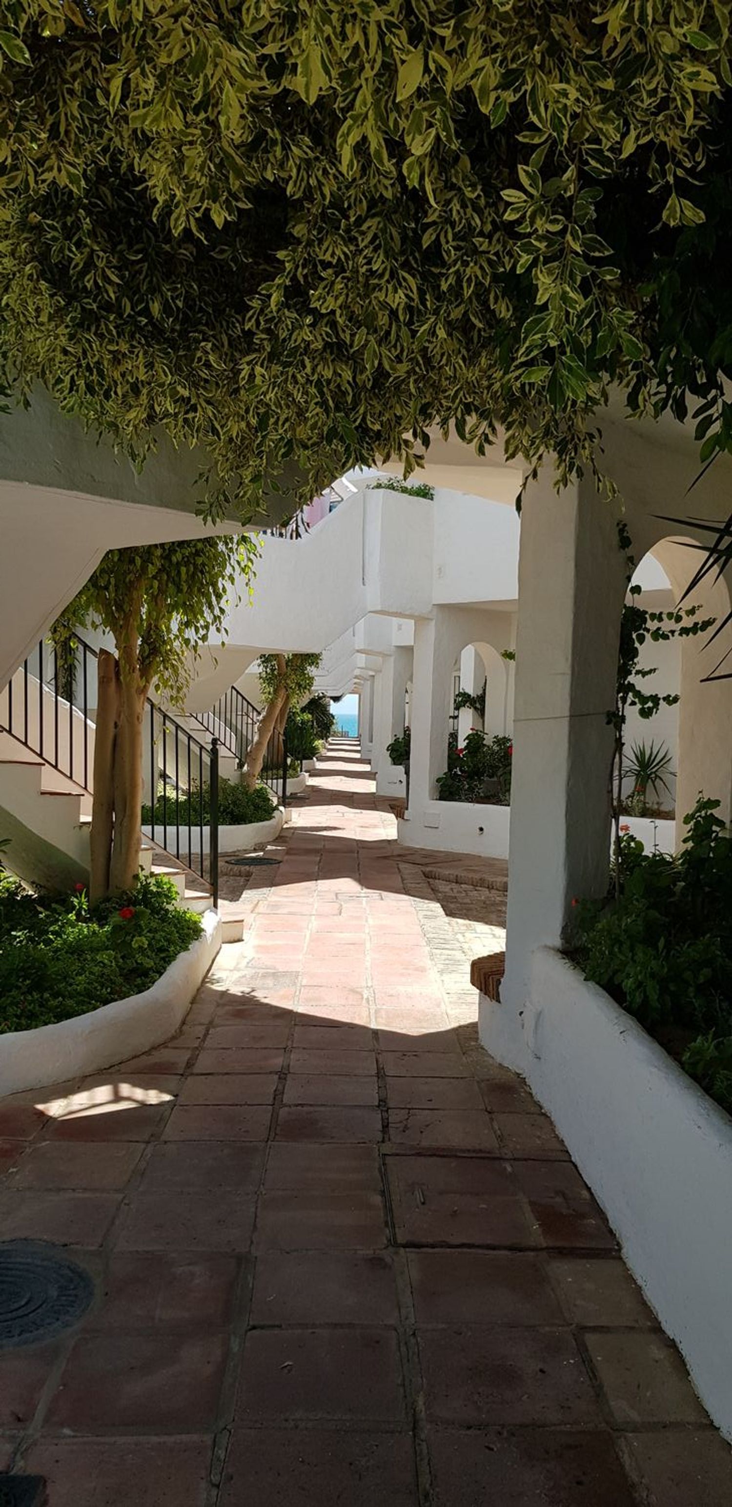 Piso en Calle el Bogavante, 11, La Barrosa, La Barrosa - Foto 2