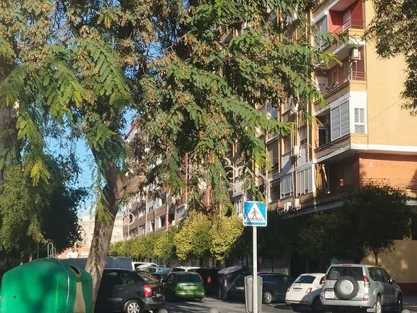 Piso en Avenida José Muñoz de Vargas, 22, Las Torres - Guadalupe, Las Torres - Guadalupe - Foto 3