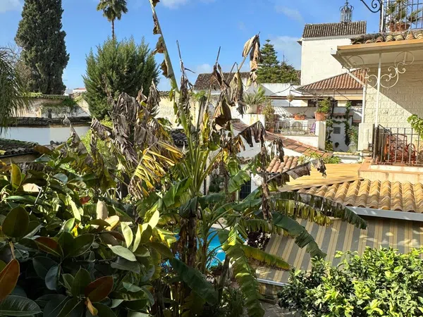 Chalet pareado en Barrio Casco Histórico - Corredera - Ribera - Foto 21