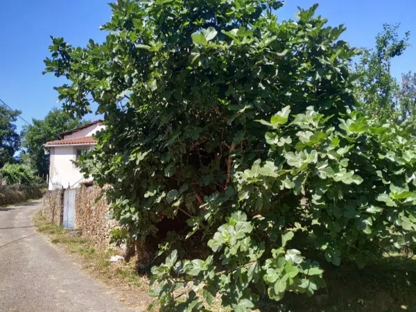 Casa de pueblo en Chavaga s/n - Foto 9