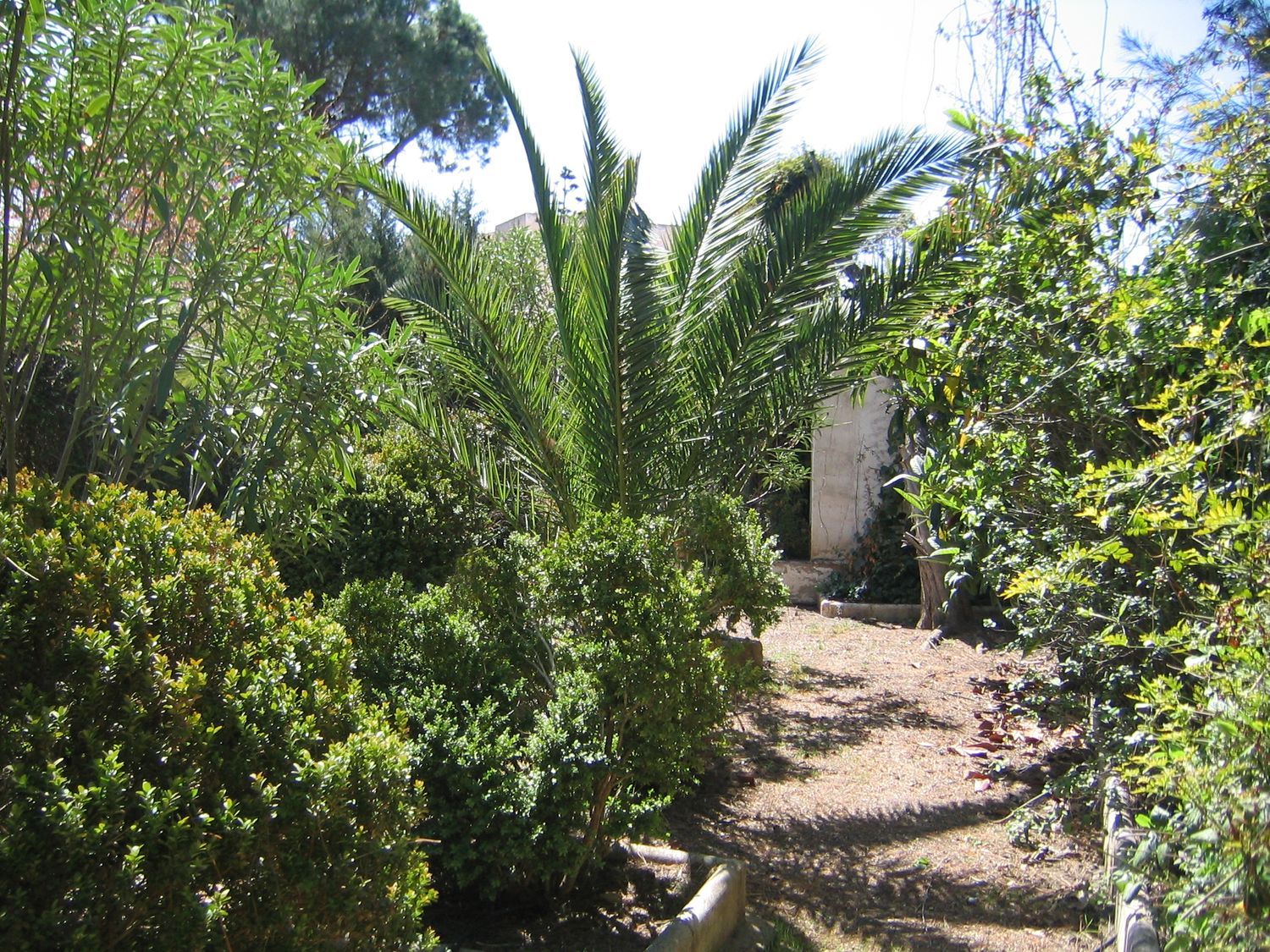 Casa de pueblo en Calle Cerrico de las Moyas, 34 - Foto 34