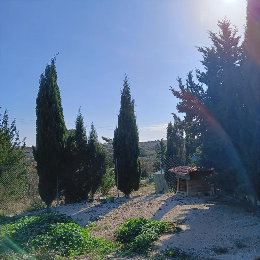 Finca rústica en  Calle Carmen 12 - Foto 21