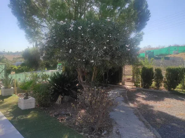 Finca rústica en Villa del Guadalhorce, 1, Villafranco del Guadalhorce, Villafranco del Guadalhorce - Foto 18