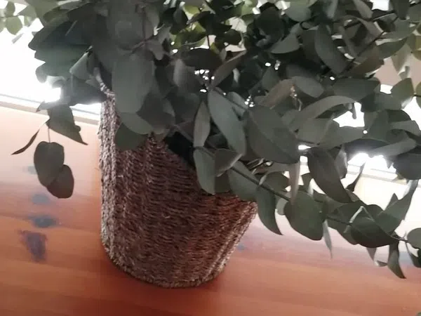 Piso en avenida Santander, 11 - Foto 11