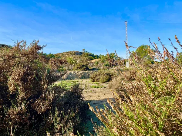 Finca rústica en camino Viejo de Saladas, 2 - Foto 8