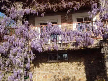 Piso en  Urbanización San Pedro de Alcántara 46 - Foto 38
