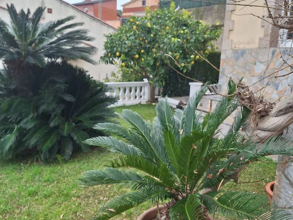 Casa independiente en calle d'Oceania, 93 - Foto 4