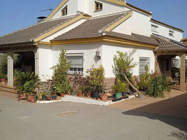 Finca rústica en Calle Sócrates, 56 - Foto 1