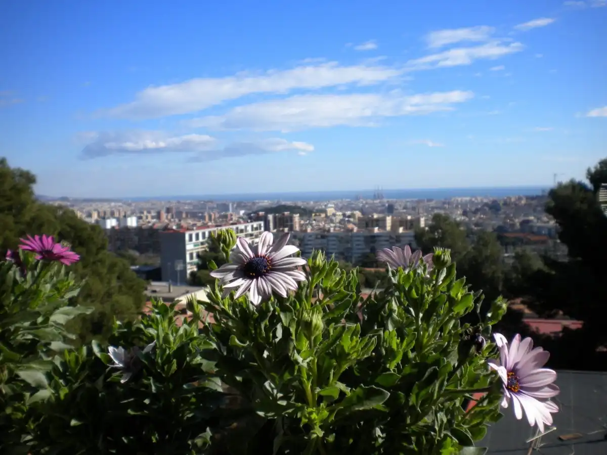 Piso en  Carrer de Vayreda 18 - Foto 6