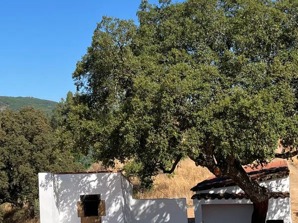 Finca rústica en La Codosera s/n - Foto 34