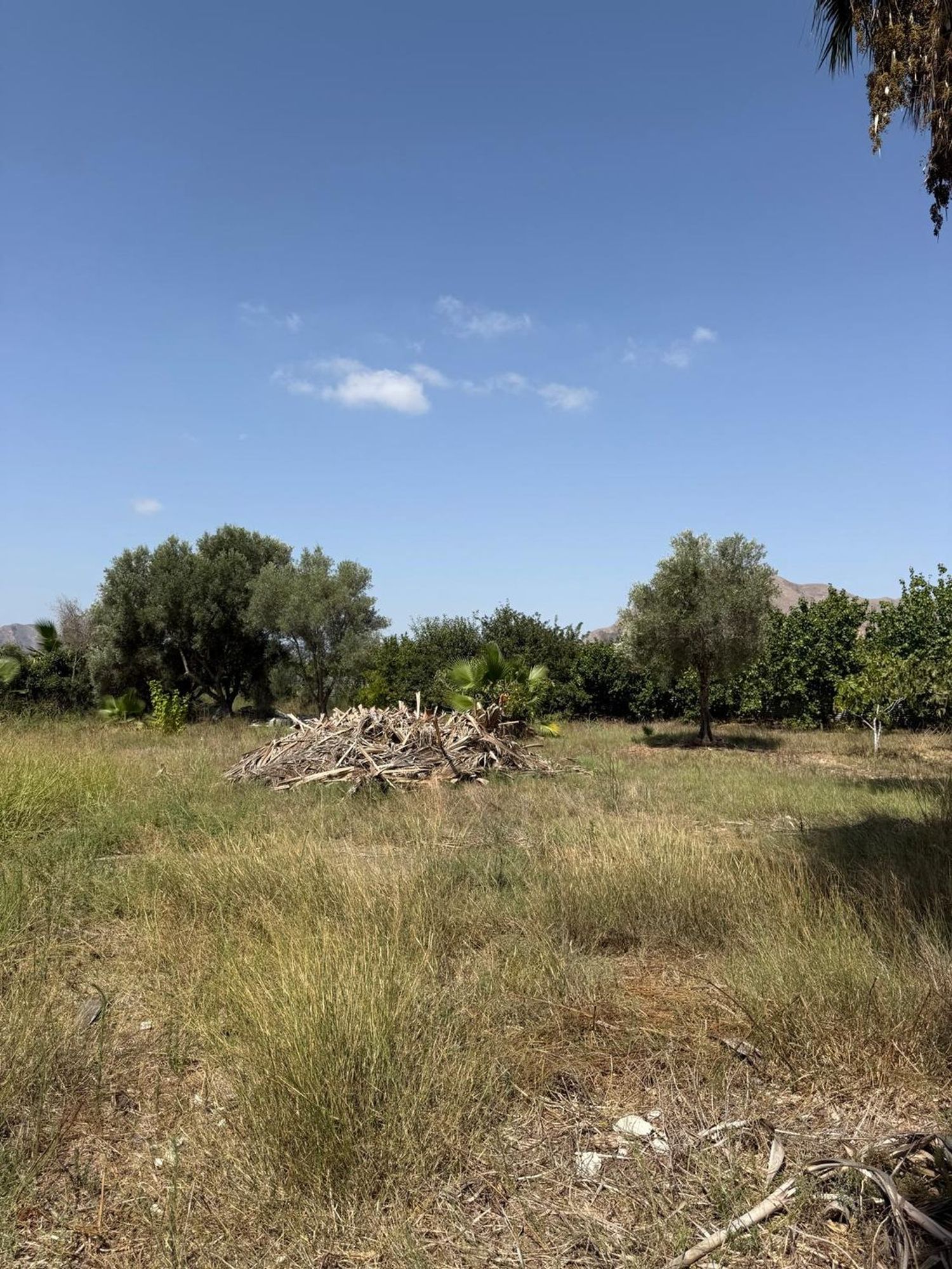 Finca rústica en Avenida Constitución, 1, Molins-Campaneta-San Bartolomé, Molins-Campaneta-San Bartolomé - Foto 26