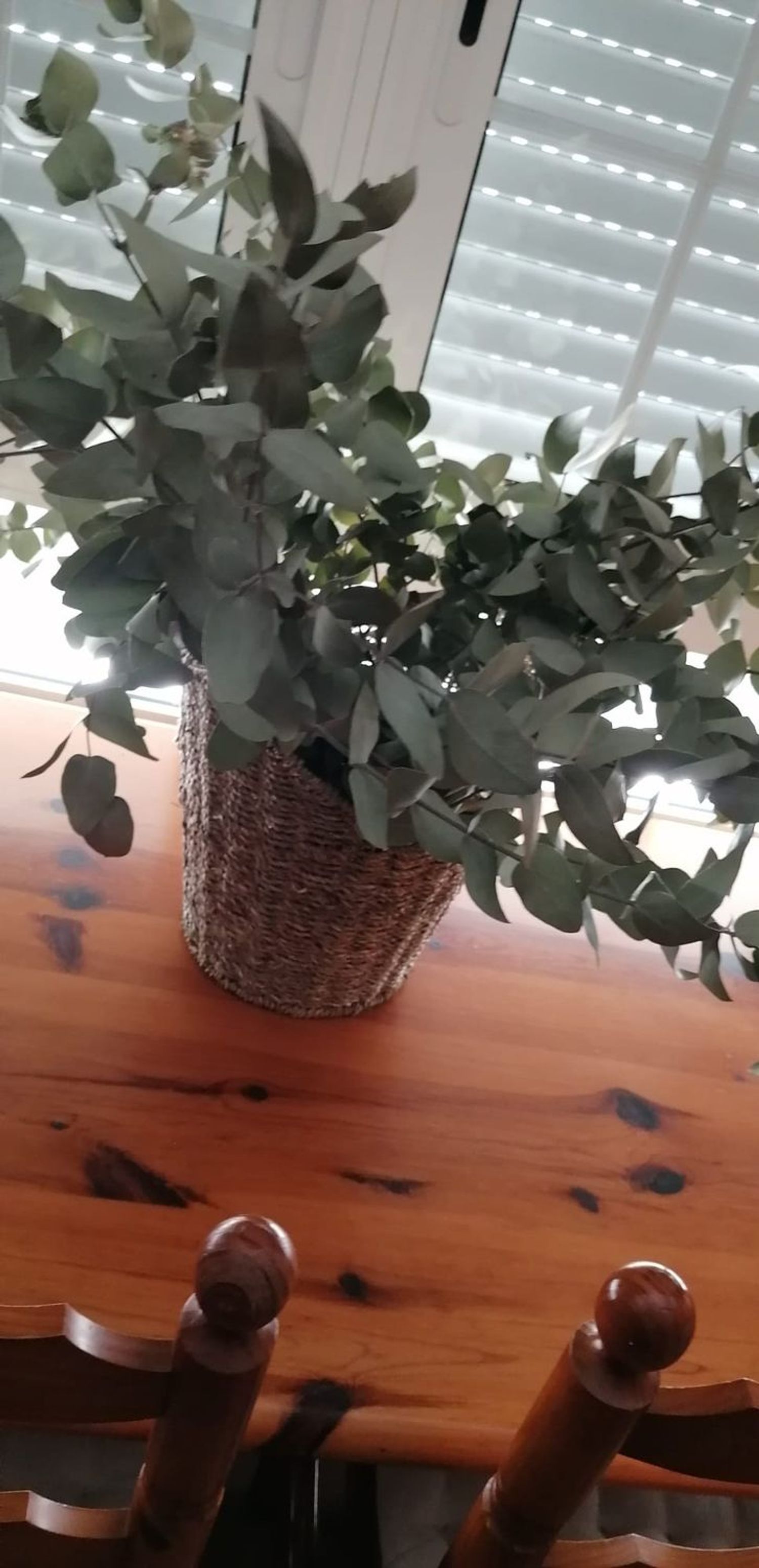 Piso en avenida Santander, 11 - Foto 11