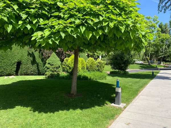 Piso en Prado de Somosaguas - Foto 31