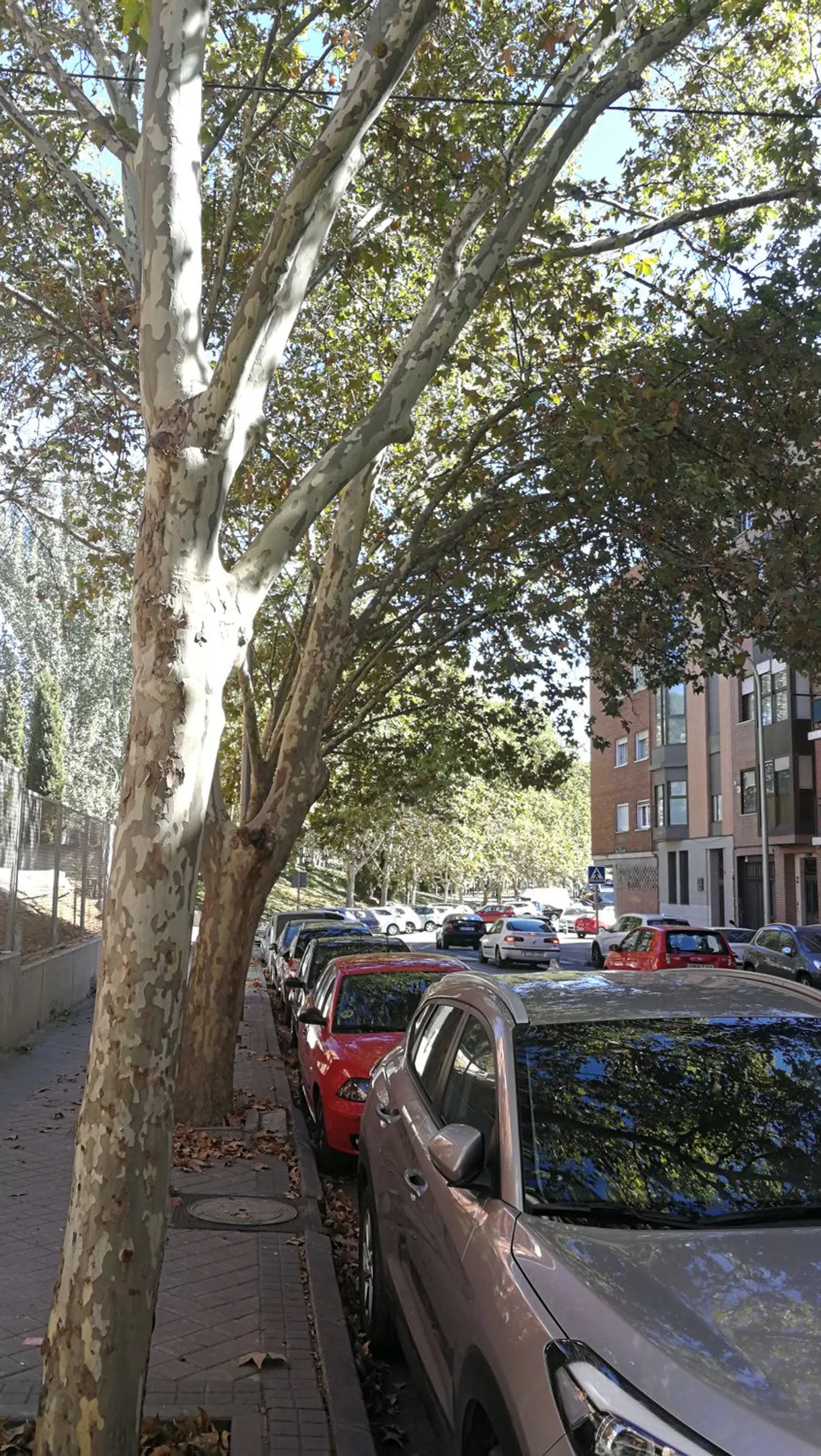 Piso en calle de Arroyo de Valdecelada, 18 - Foto 3