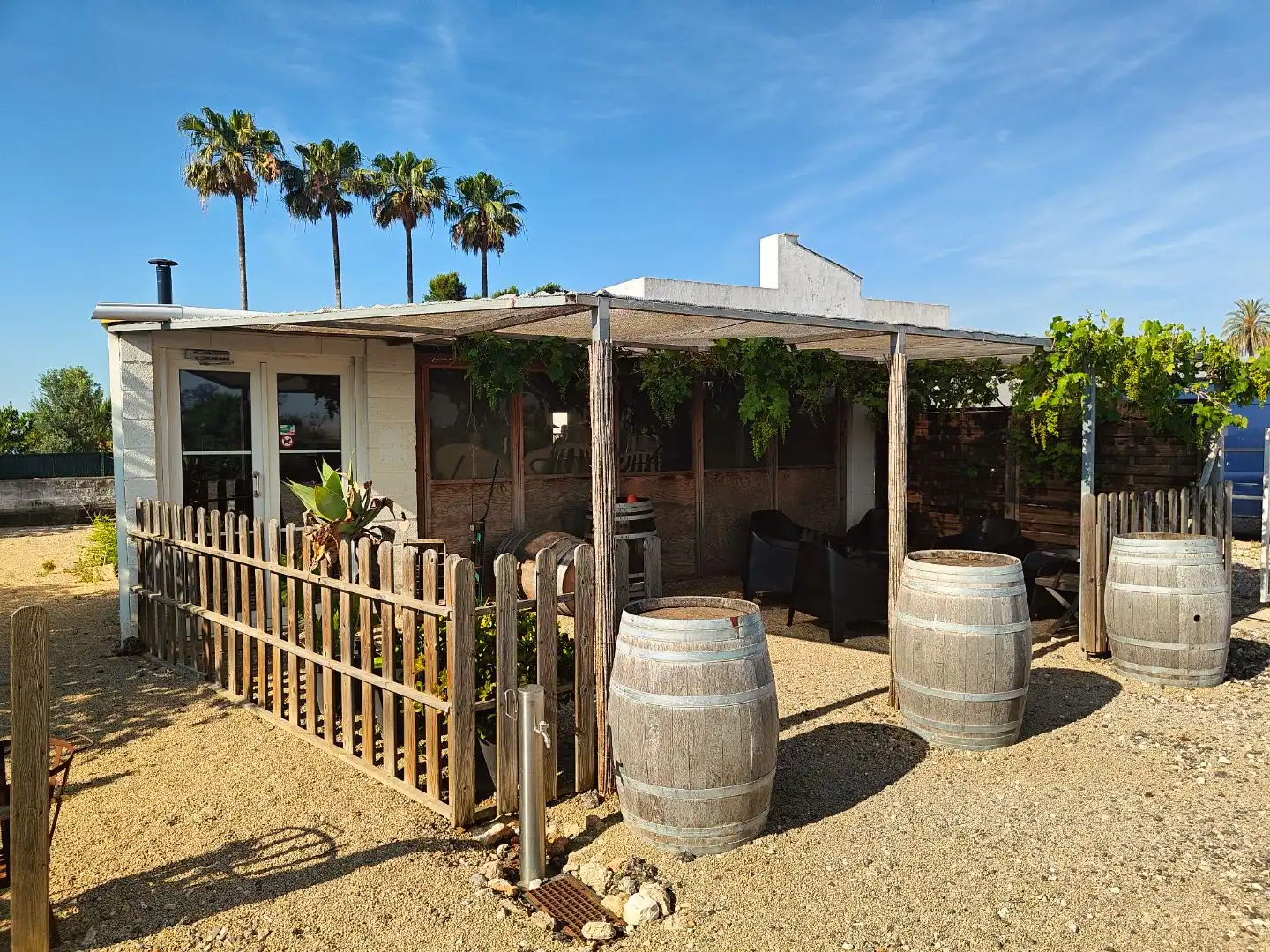 Finca rústica en Algemesí - Foto 18