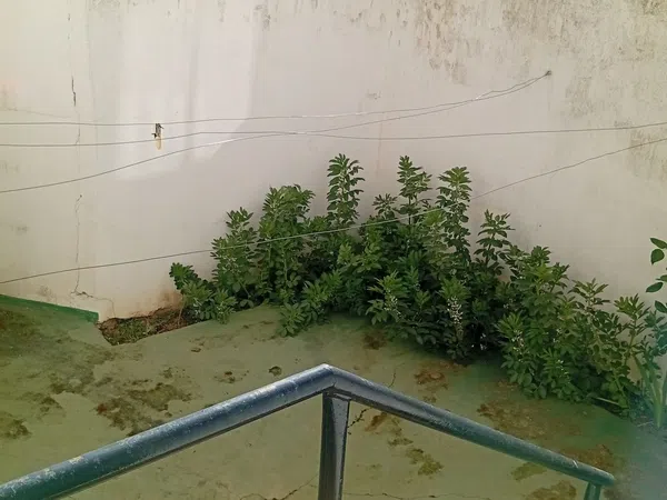 Piso en Calle Luz, 38 - Foto 17