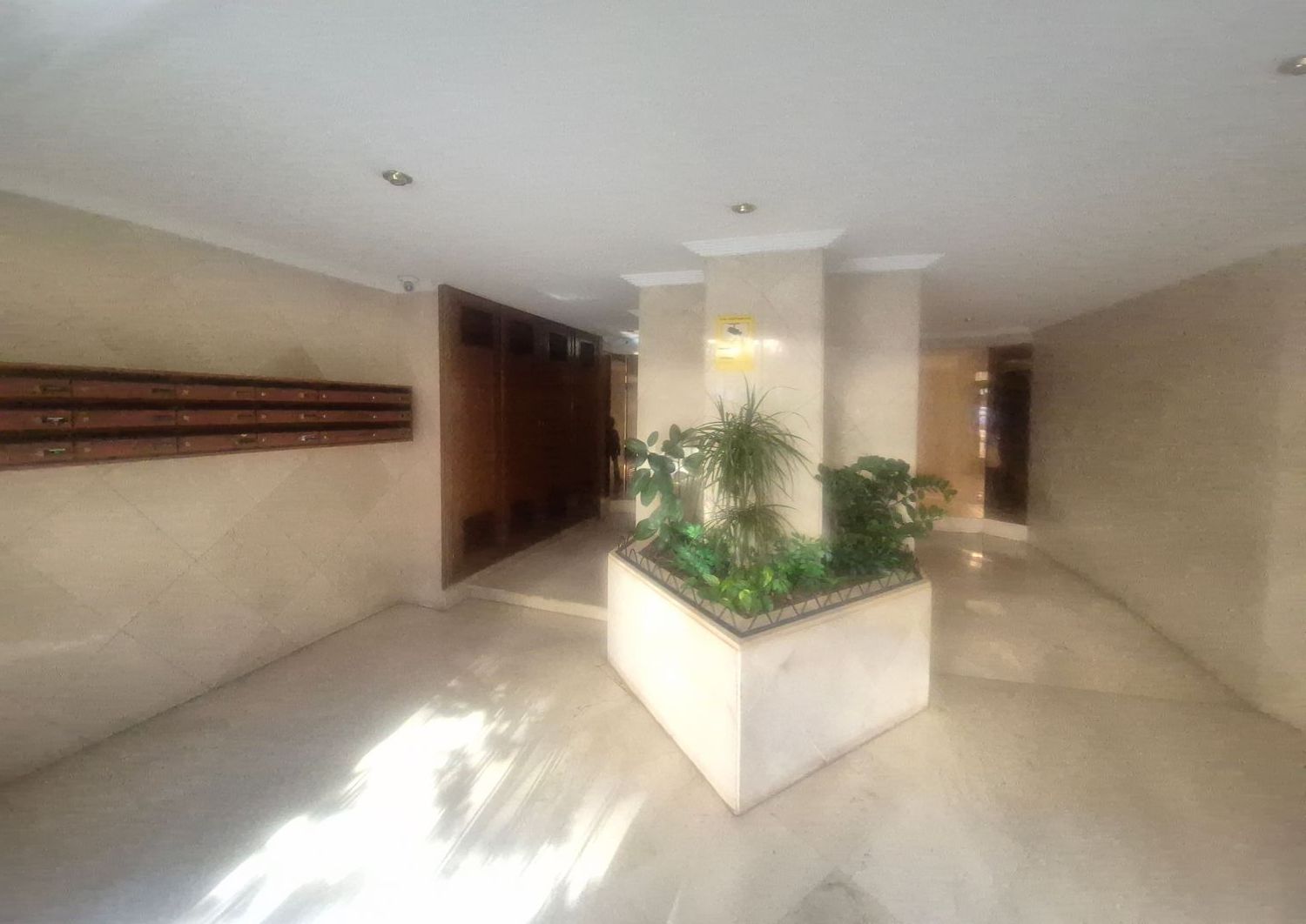 Piso en Avenida Oscar Espla, 23 - Foto 6