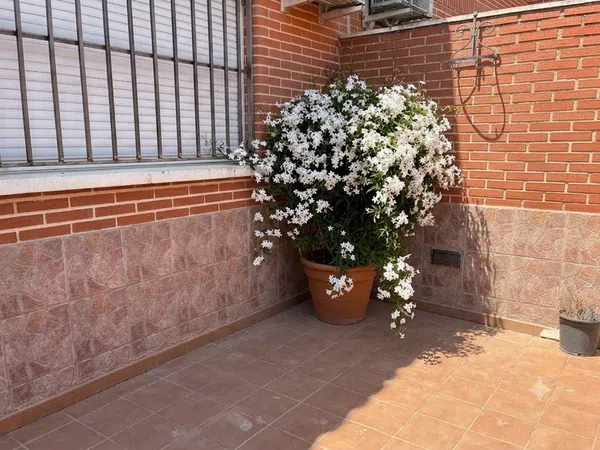 Chalet adosado en Fuensalida - Foto 18