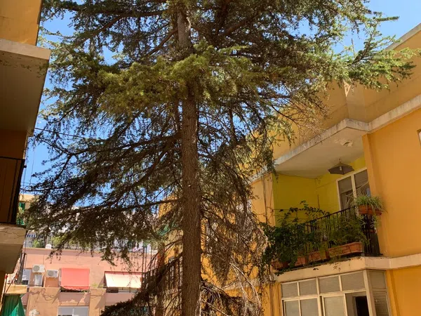 Piso en calle de Granada, 18 - Foto 12