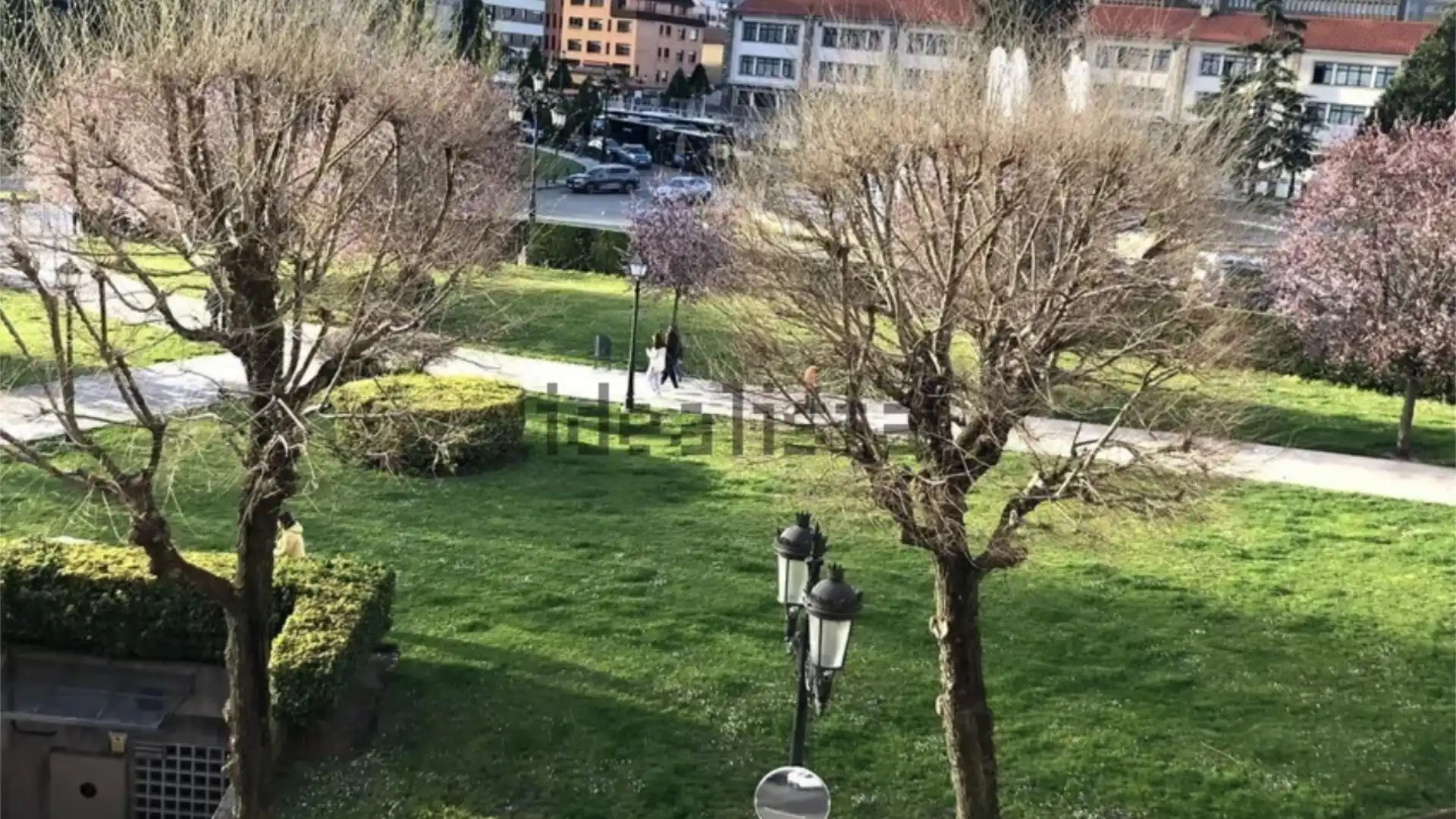 Piso en  Avenida De Pedro Masaveu 5 - Foto 2