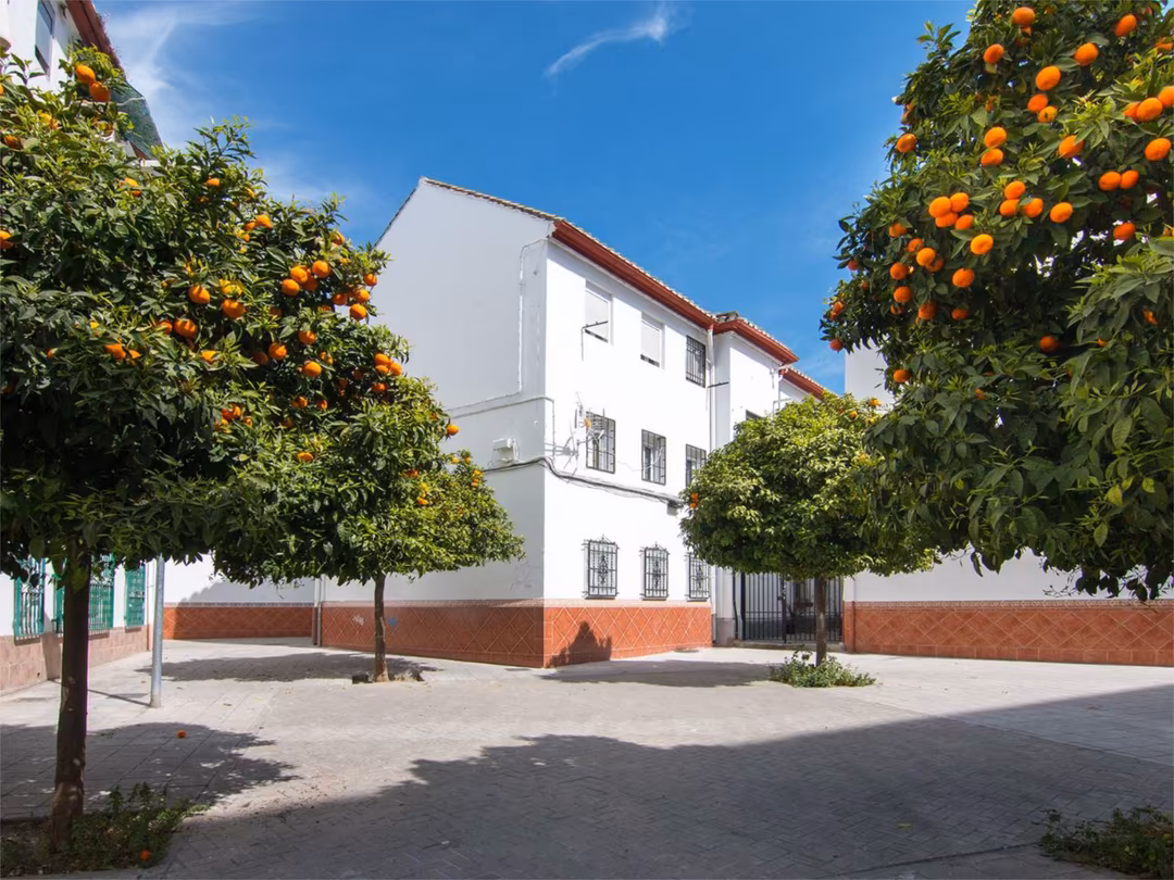 Piso en  Calle Maestro Moreno Torroba 4 - Foto 6