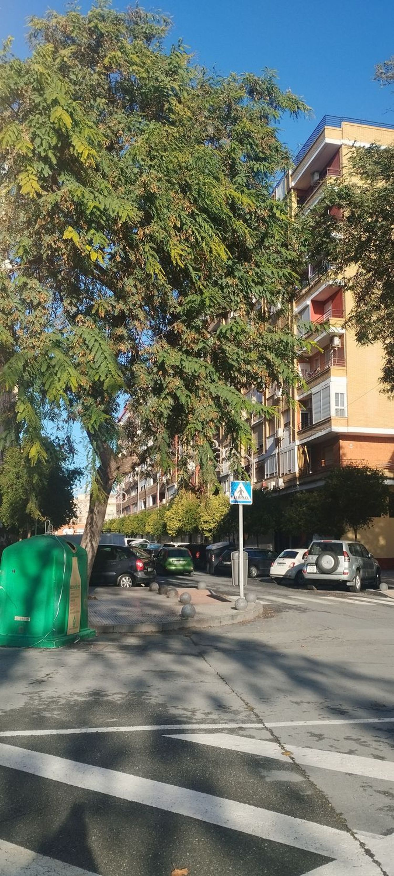Piso en Avenida José Muñoz de Vargas, 22, Las Torres - Guadalupe, Las Torres - Guadalupe - Foto 3