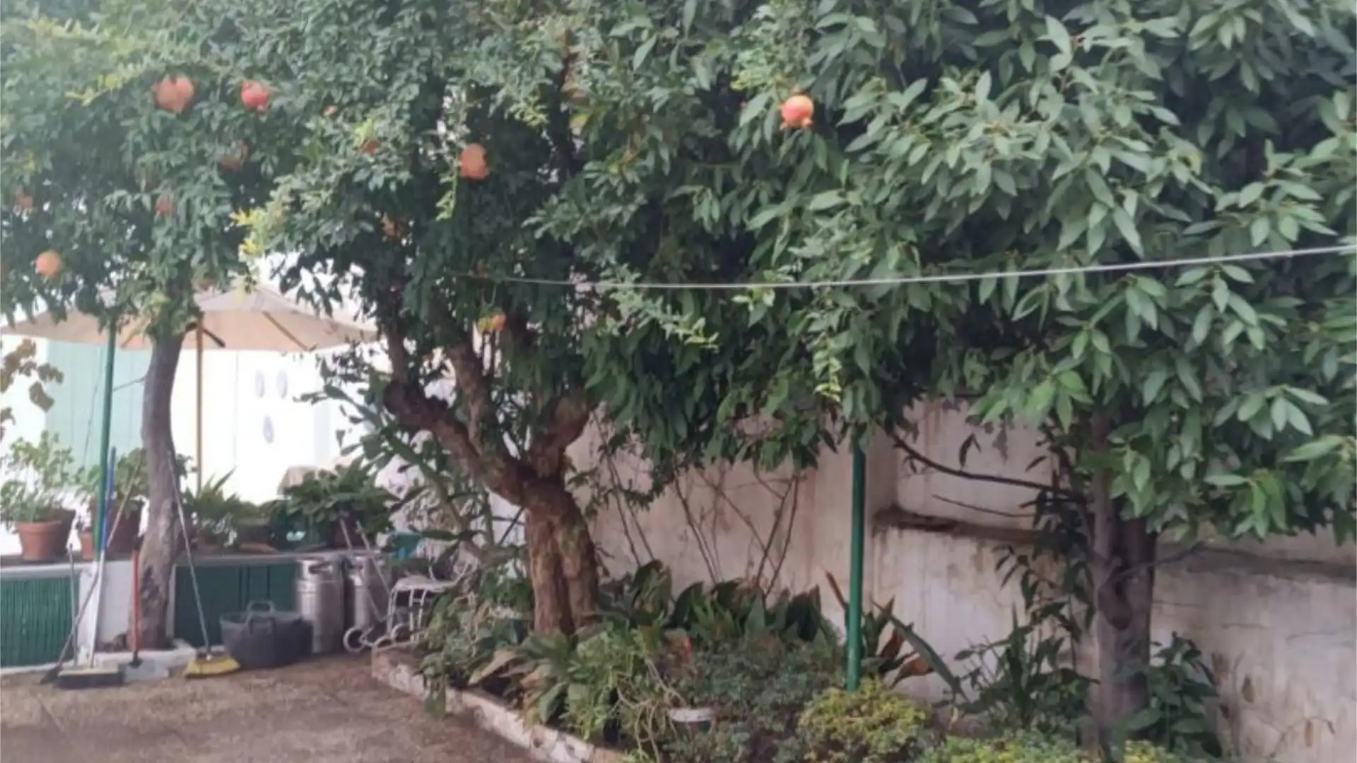 Casa adosada en  Calle Antonio Machado 35 - Foto 30