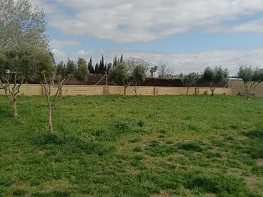 Finca rústica en  Camino Alcornocal 361 - Foto 2