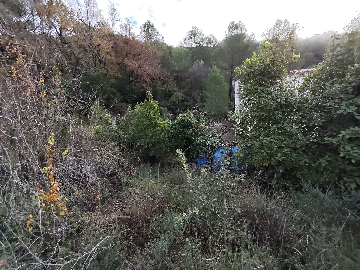 Finca rústica en Vall de sant Marc, la torrussolla s/n - Foto 17