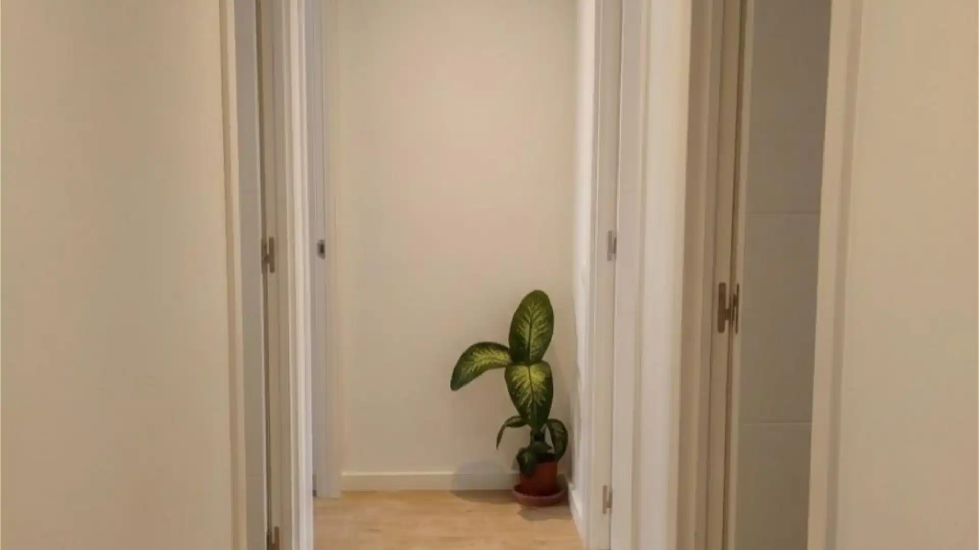 Piso en  Carrer Doctor Combelles 3 - Foto 5