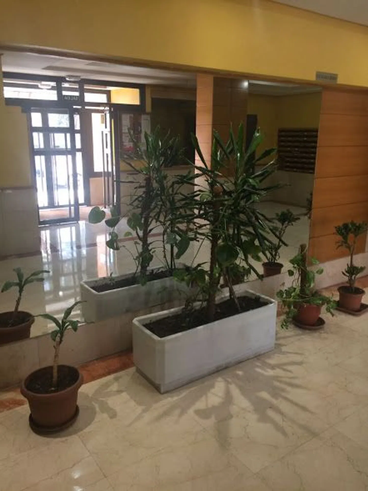 Piso en calle Rafael Bergamín, 12 - Foto 3