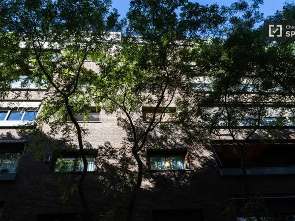 Estudio en Calle de Zurbano, Almagro - Foto 16