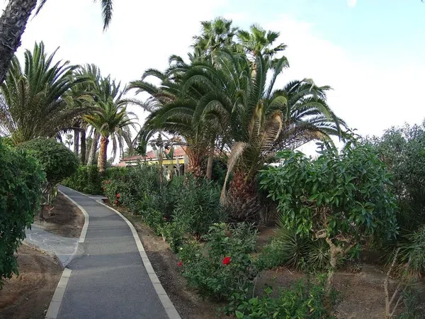 Chalet pareado en Avenida de Gran Canaria, 14 - Foto 23