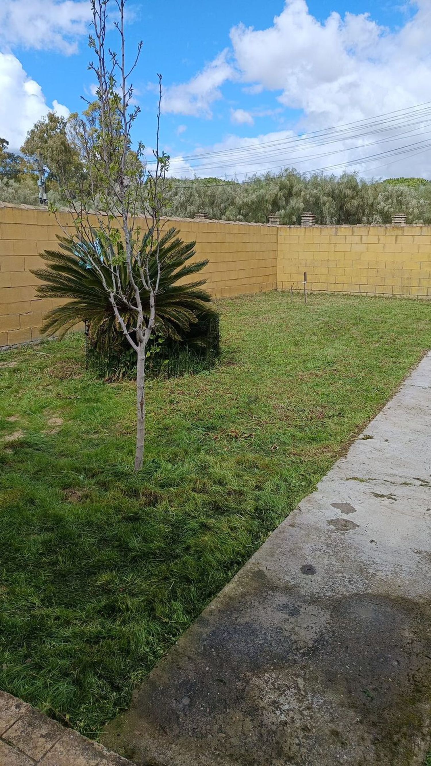Casa o chalet independiente en Lugar Galvecito, 13, Cuatro Pinos-El Carmen - Foto 23