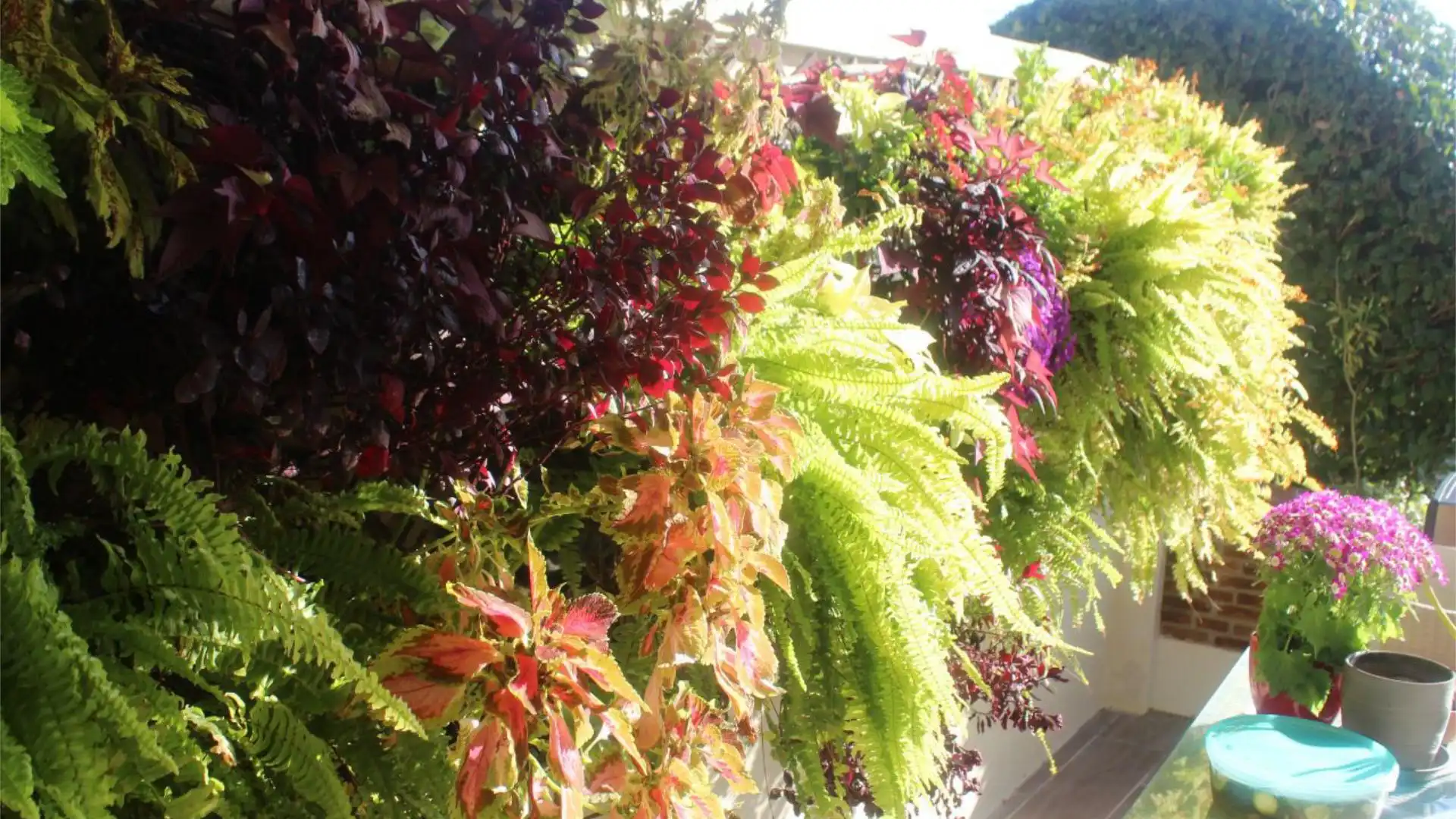 Piso en  Via Brijan 5 - Foto 3