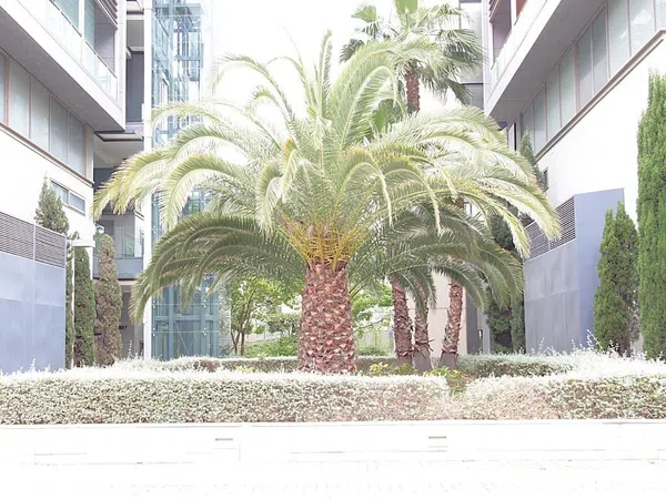 Piso en Calle de la Creu Roja, Vara de Quart - Foto 34