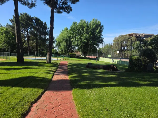 Dúplex en Camino de Manzanares, 55 - Foto 3