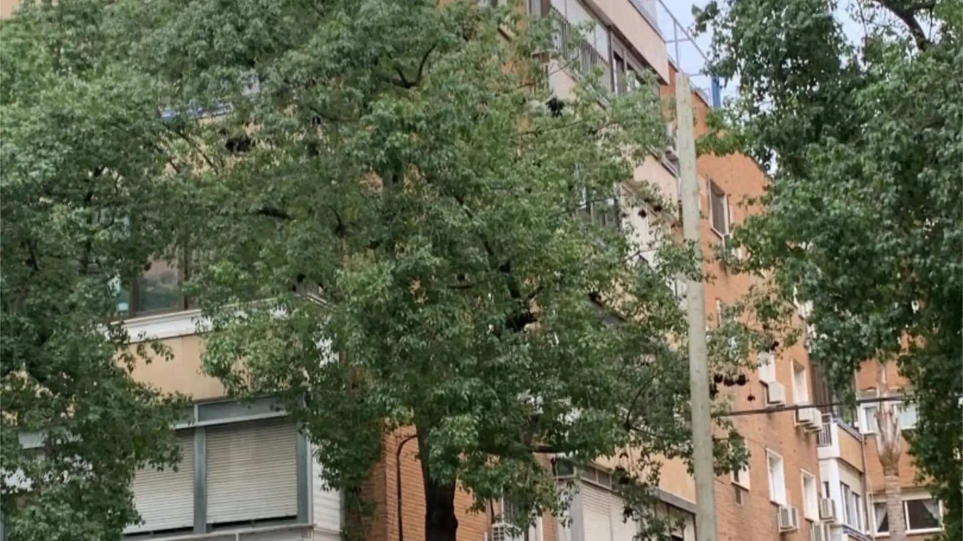 Piso en  Calle Felipe II 17 - Foto 3