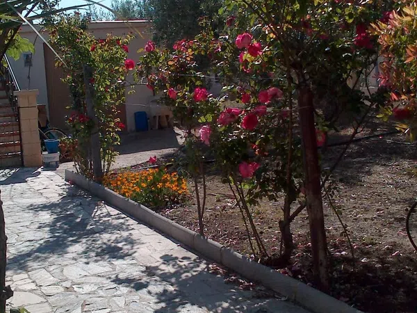 Casa o chalet independiente en Polígono 8 parcela 7 s/n - Foto 2