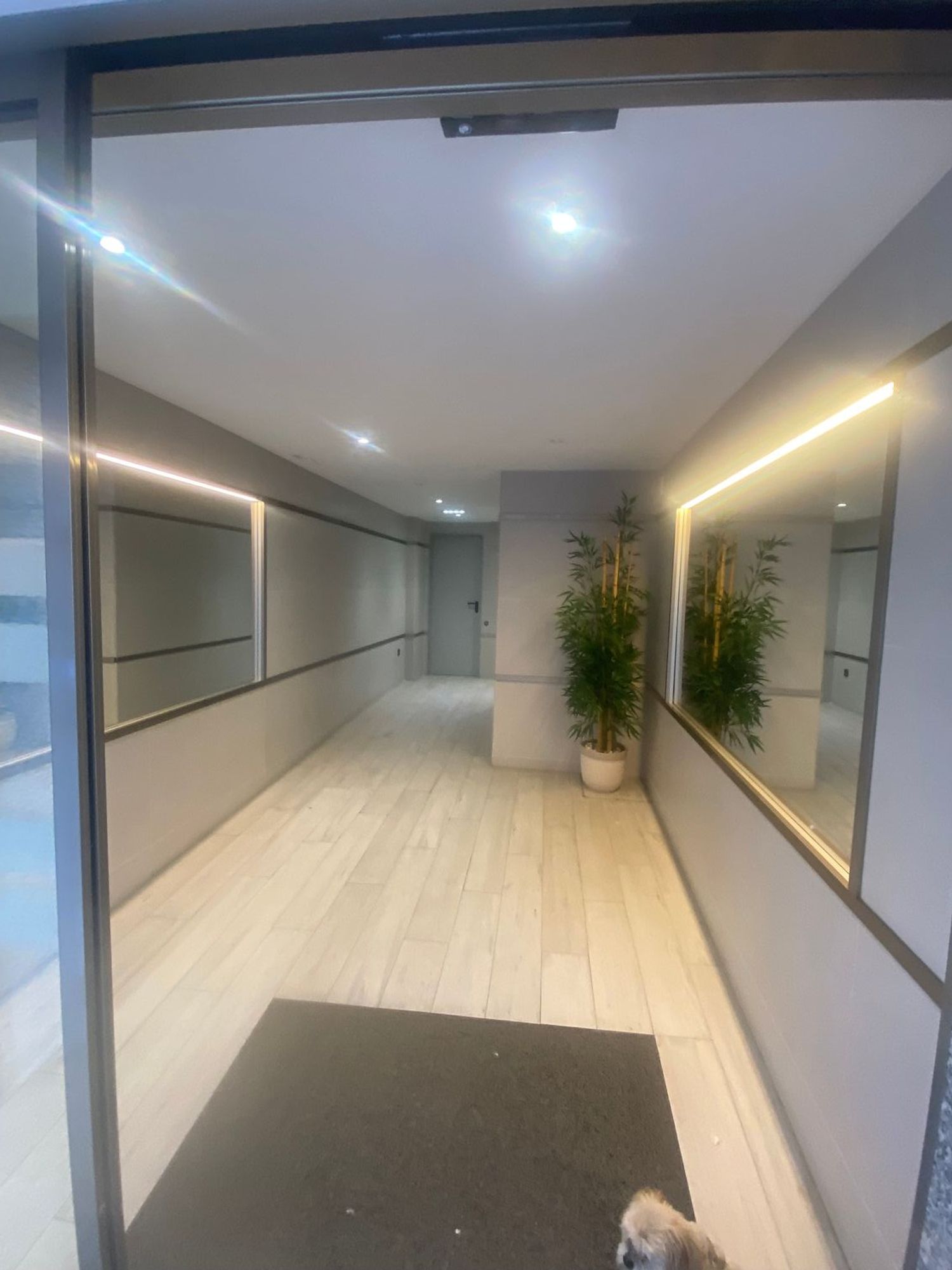 Piso en Calle San Luis, 23, Centro - San Lorenzo - Foto 3