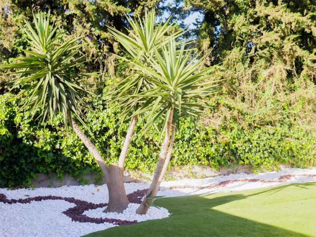 Chalet en  Camino del acebo 2 - Foto 6