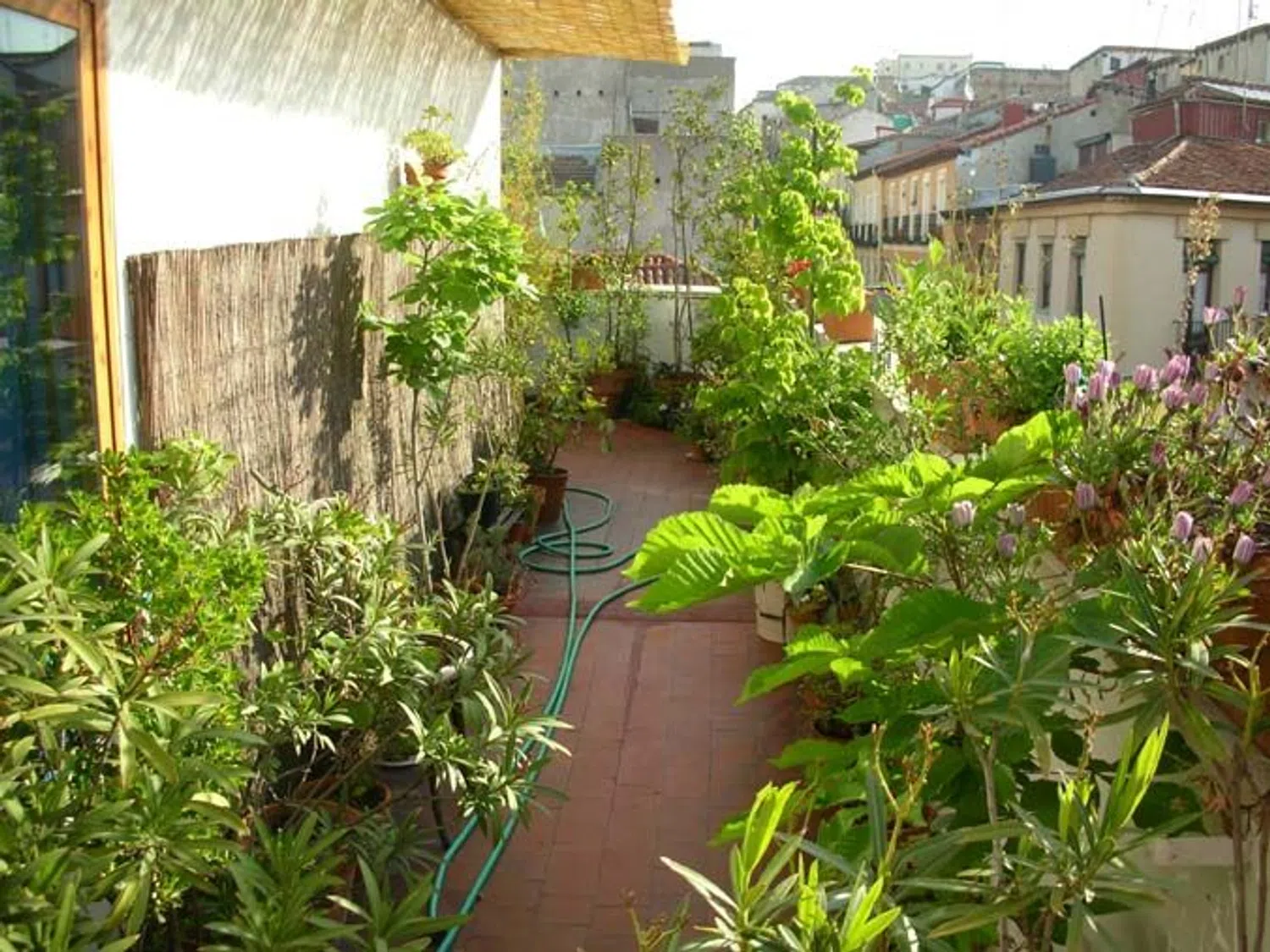 Ático en calle de Zurita, 40 - Foto 2