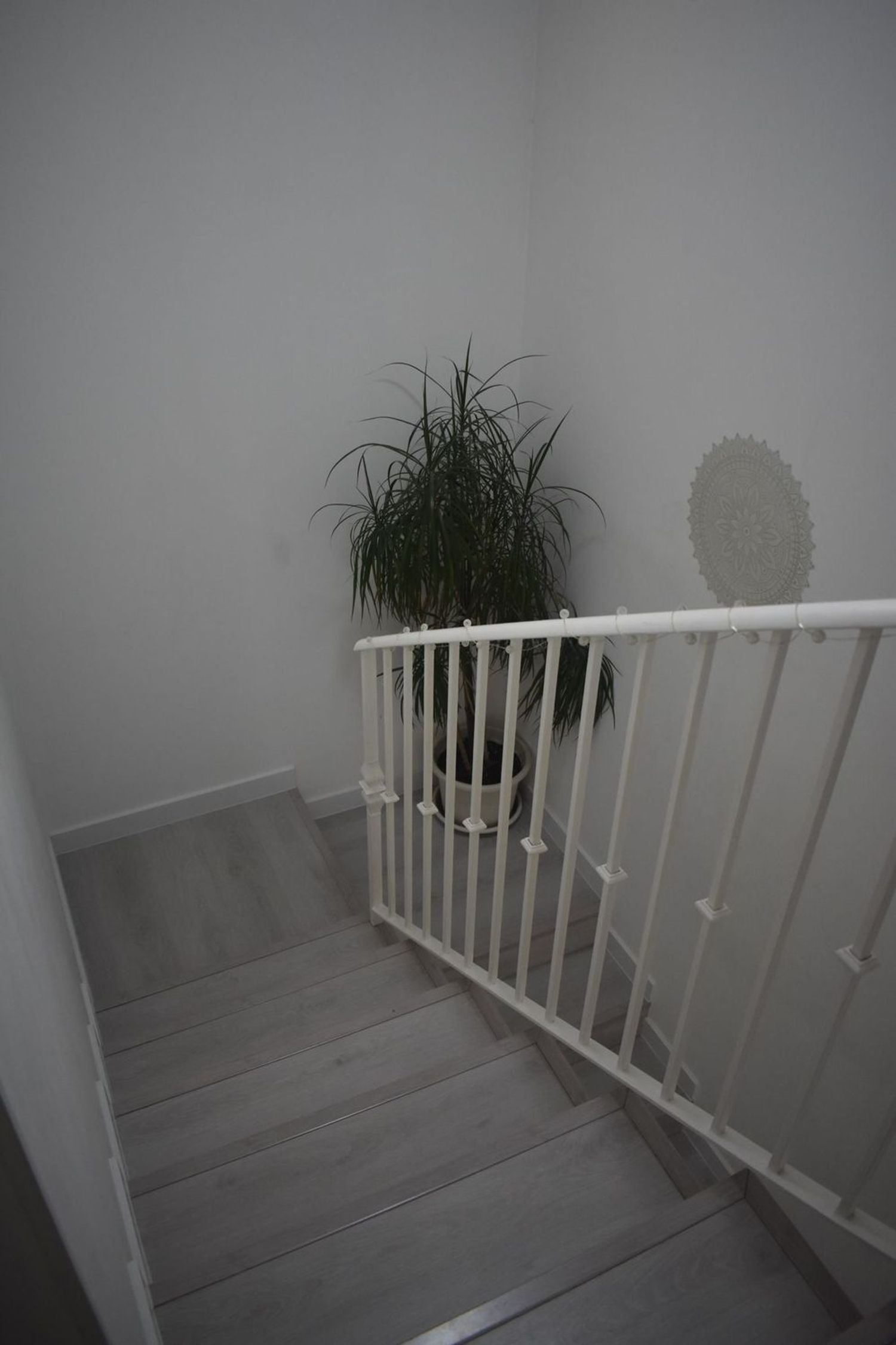 Casa o chalet independiente en Calle de San Manuel, 18, Parque Europa - Los Pitufos, Parque Europa - Los Pitufos - Foto 11