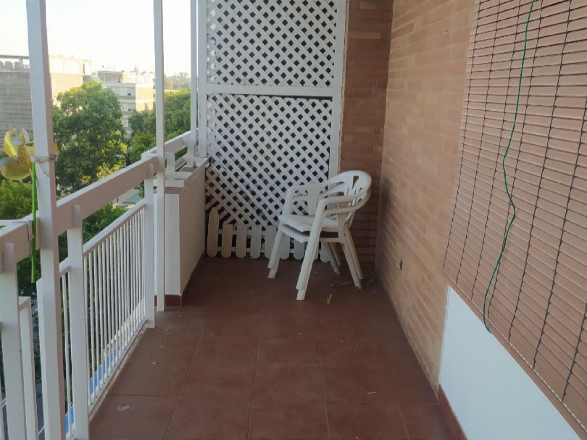 Piso en  Avenida de la Reina Mercedes 19