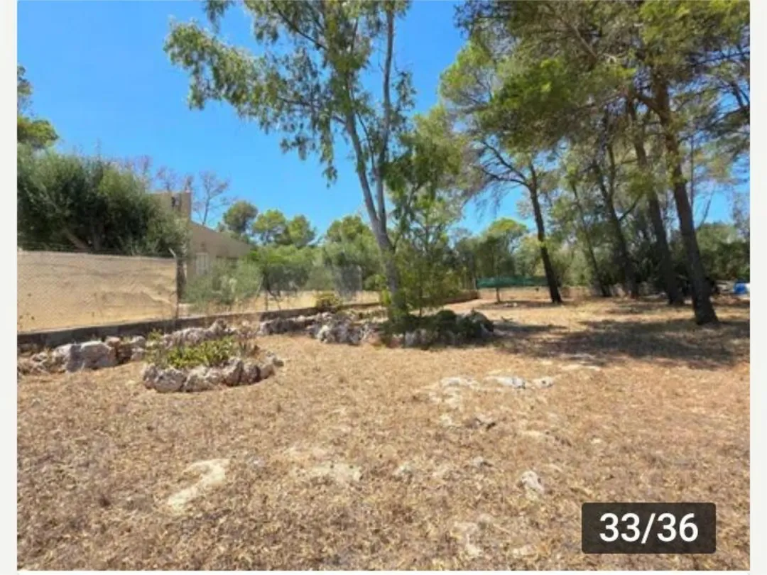 Finca rústica en  Diseminado 8746- Sa Casa Blanca 1 - Foto 30